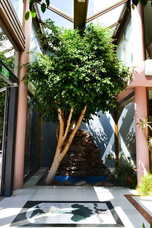 Argenta Apart Hotel Трелью Экстерьер фото